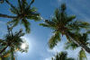 Urlaub