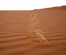 Klimawandel