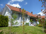 Haus im Grnen (Stadtnhe)