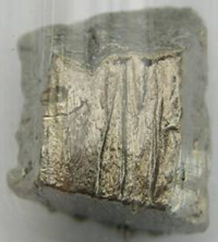 das Seltenerdmetall Neodym