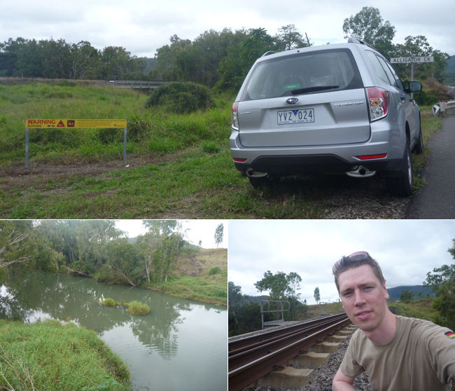 Alligator Creek
