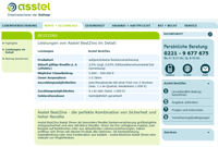 asstel im Internet